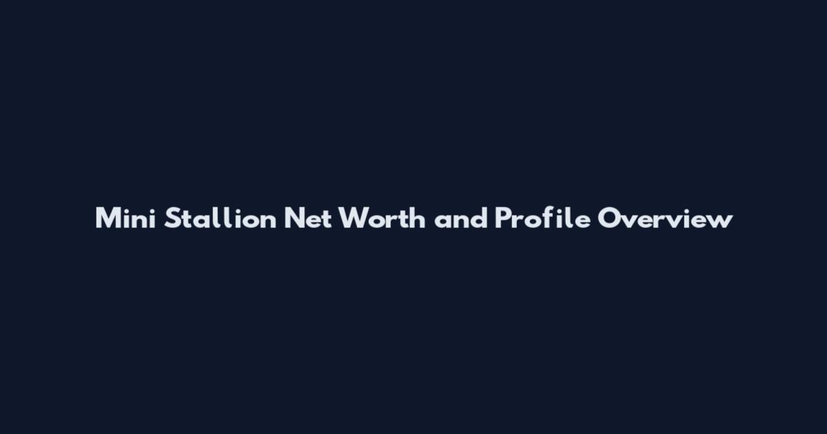 Mini Stallion Net Worth and Profile Overview