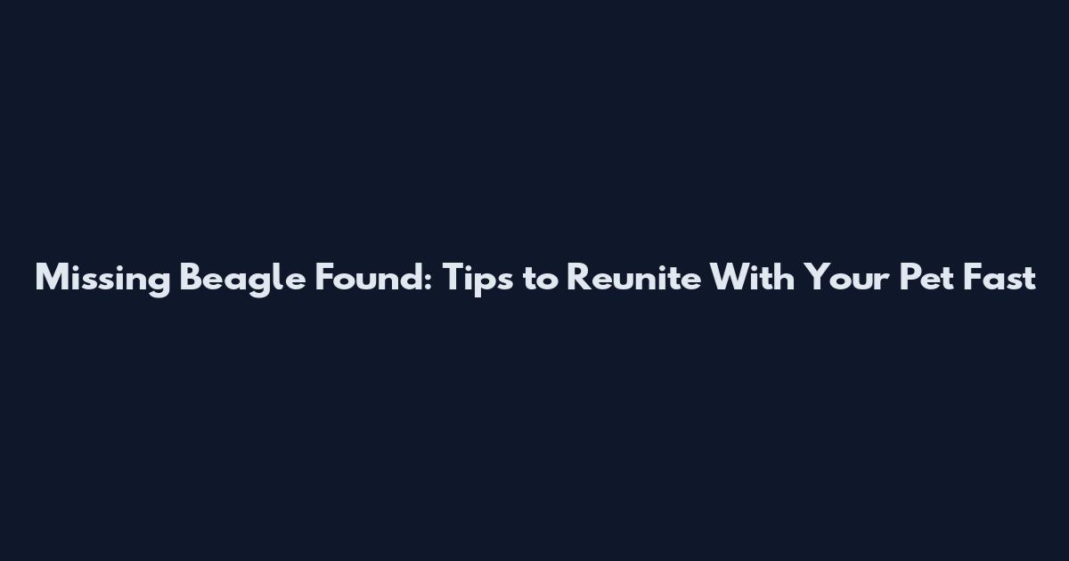Missing Beagle Found: Tips to Reunite With Your Pet Fast