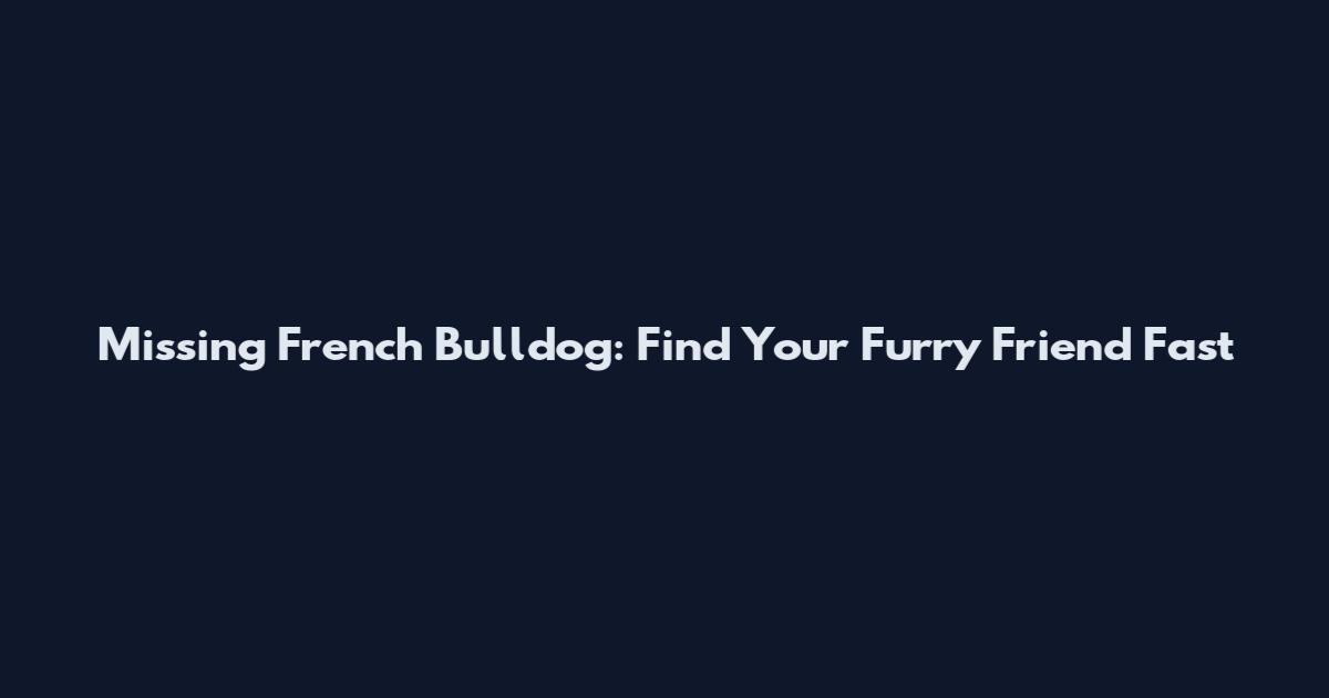 Missing French Bulldog: Find Your Furry Friend Fast