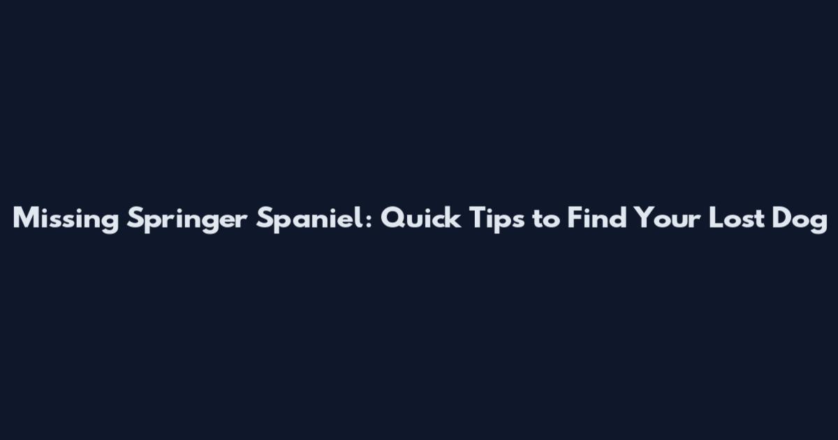 Missing Springer Spaniel: Quick Tips to Find Your Lost Dog