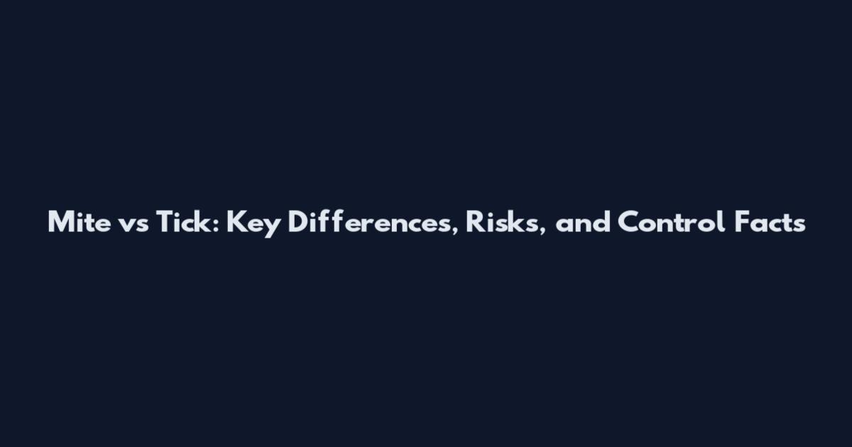 Mite vs Tick: Key Differences, Risks, and Control Facts