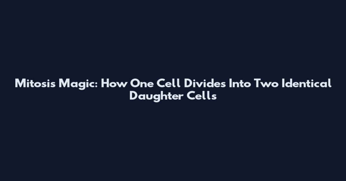 Mitosis Magic: How One Cell Divides Into Two Identical Daughter Cells