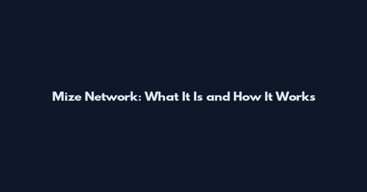 Mize Network: What It Is and How It Works