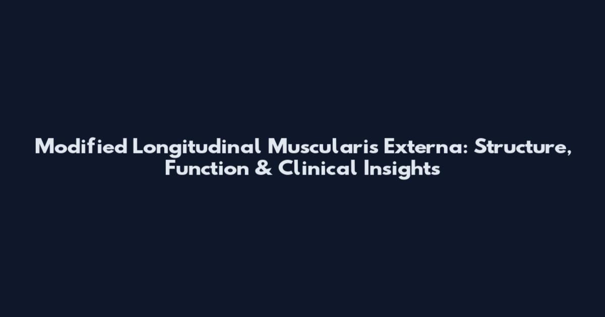 Modified Longitudinal Muscularis Externa: Structure, Function & Clinical Insights