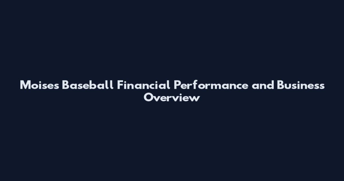 Moises Baseball Financial Performance and Business Overview