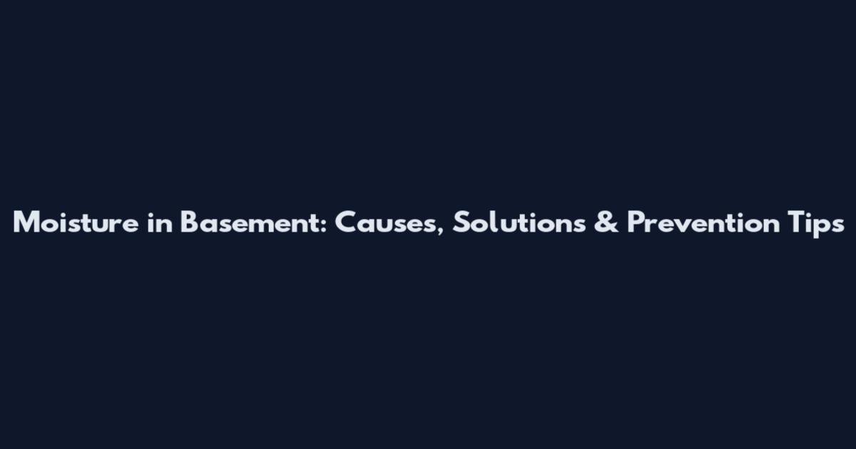 Moisture in Basement: Causes, Solutions & Prevention Tips