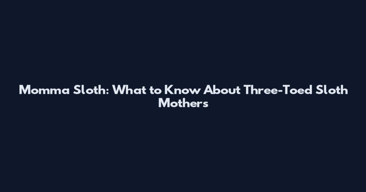 Momma Sloth: What to Know About Three-Toed Sloth Mothers