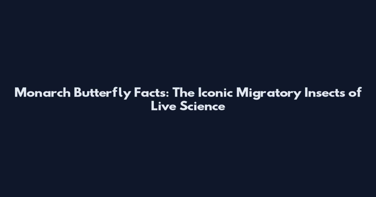 Monarch Butterfly Facts: The Iconic Migratory Insects of Live Science