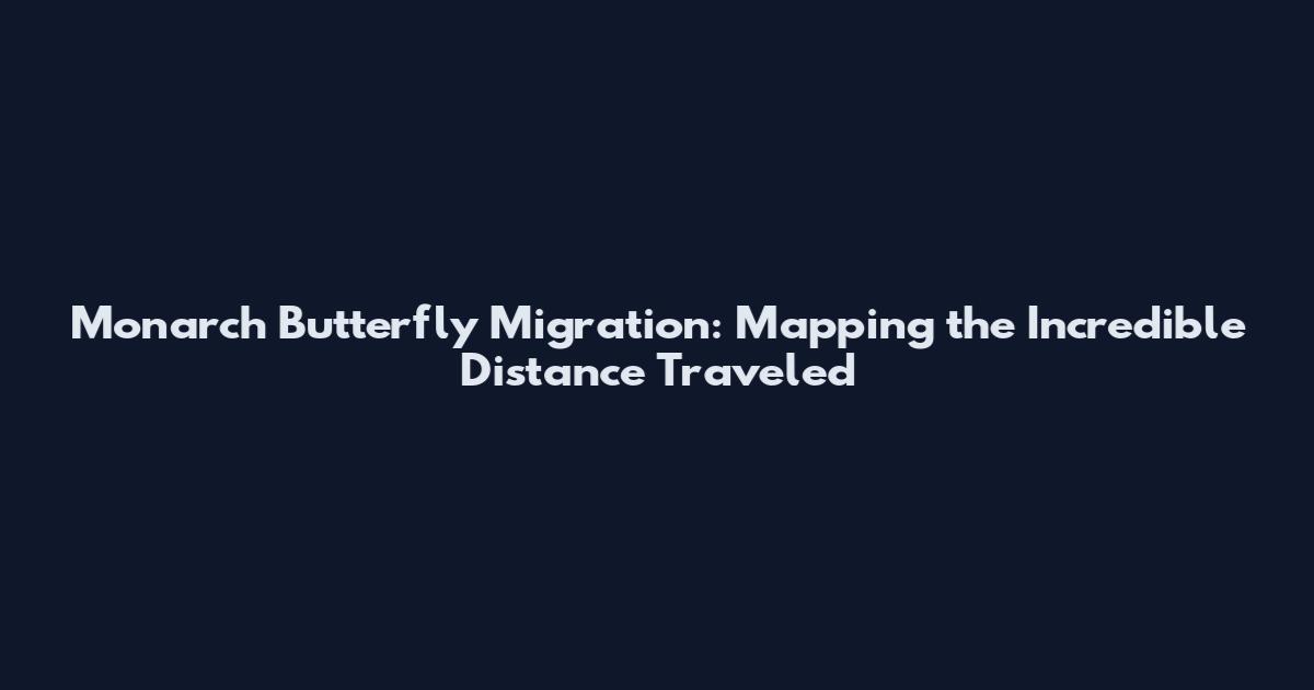 Monarch Butterfly Migration: Mapping the Incredible Distance Traveled