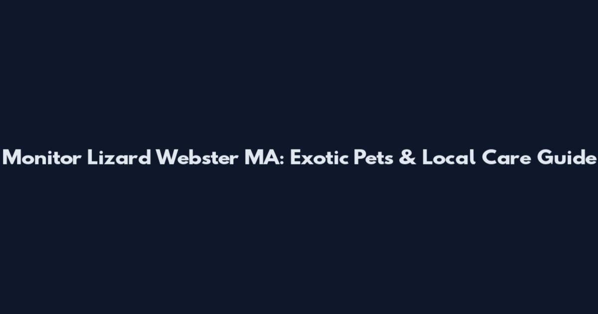 Monitor Lizard Webster MA: Exotic Pets & Local Care Guide