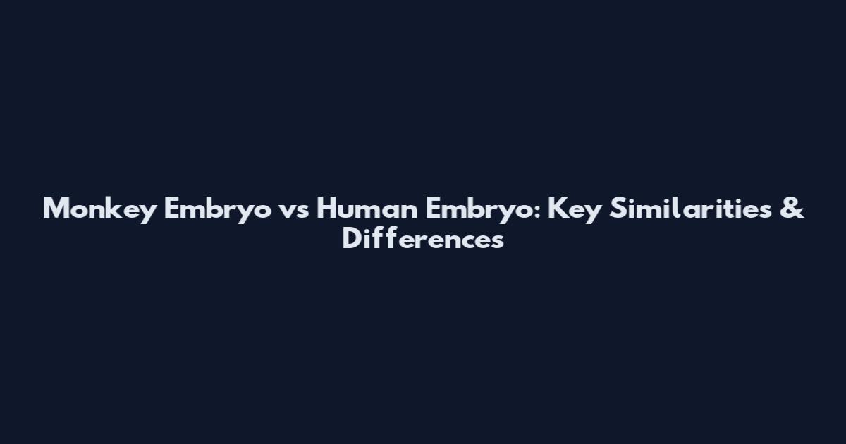 Monkey Embryo vs Human Embryo: Key Similarities & Differences