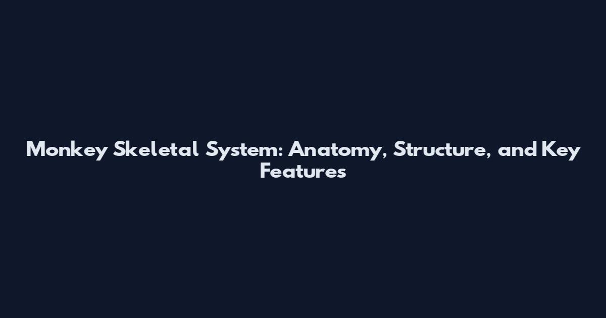 Monkey Skeletal System: Anatomy, Structure, and Key Features