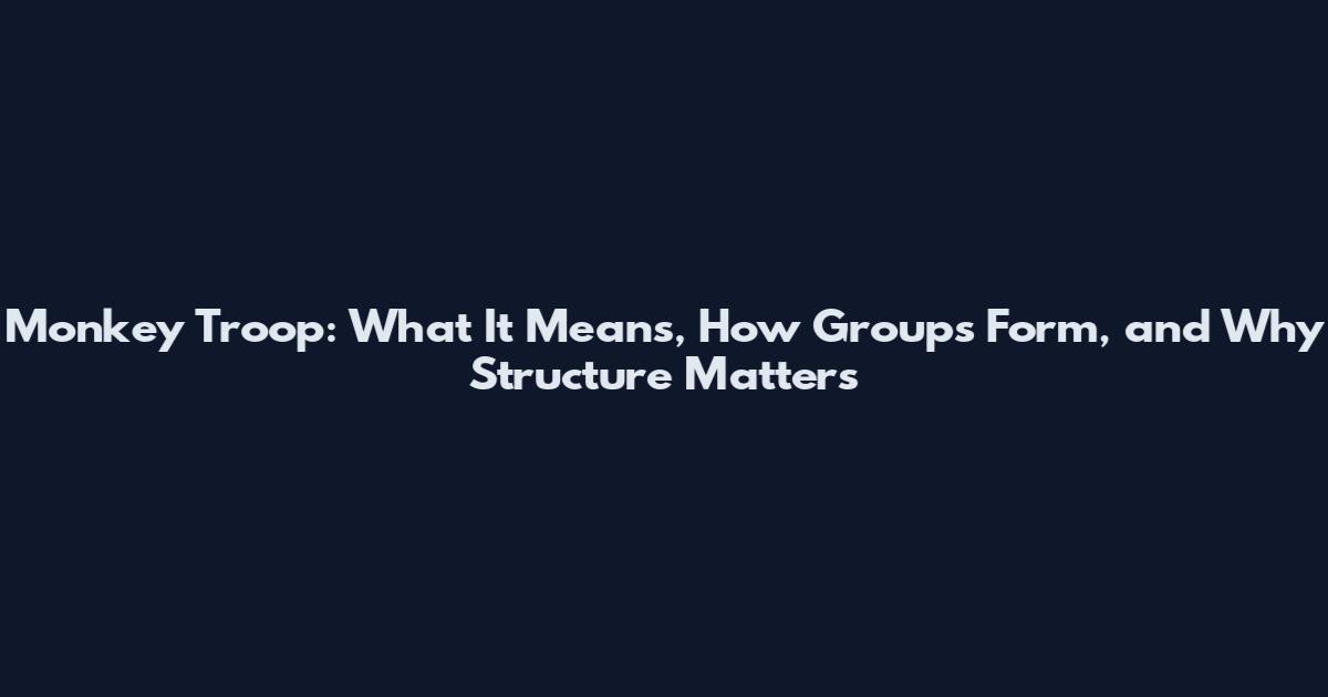 Monkey Troop: What It Means, How Groups Form, and Why Structure Matters