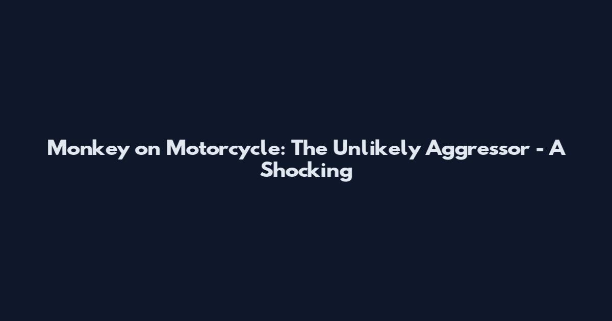 Monkey on Motorcycle: The Unlikely Aggressor - A Shocking