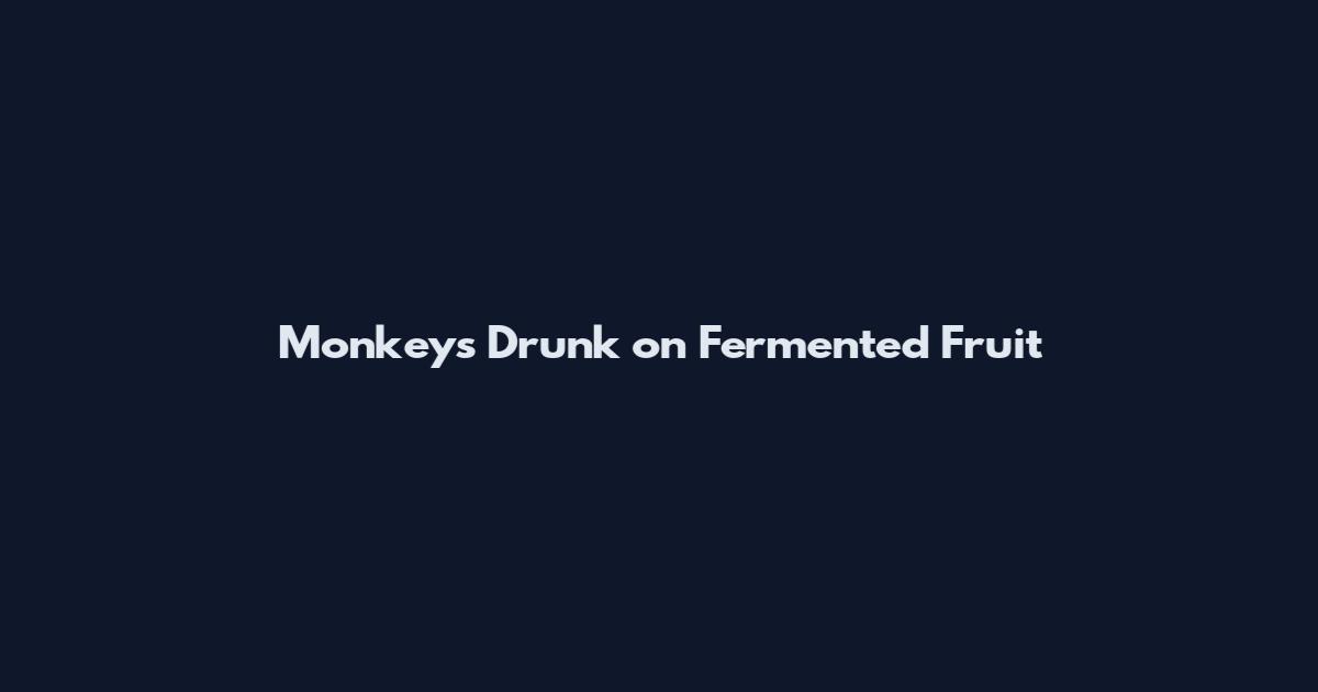 Monkeys Drunk on Fermented Fruit