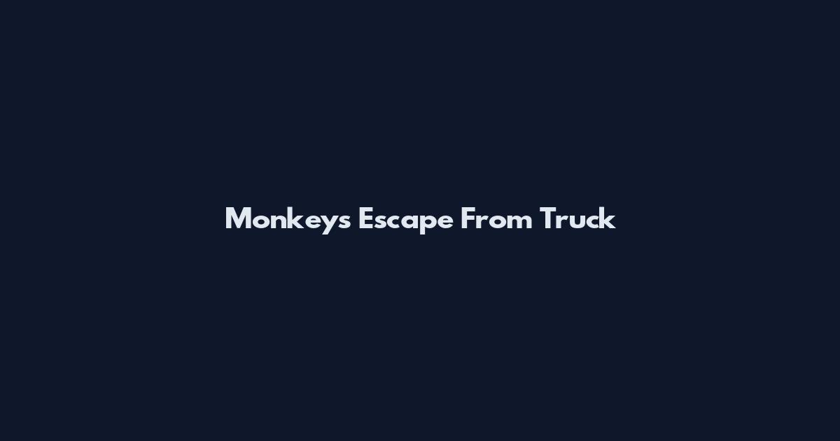 Monkeys Escape From Truck