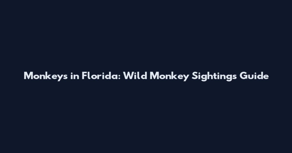 Monkeys in Florida: Wild Monkey Sightings Guide