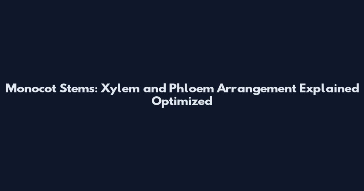 Monocot Stems: Xylem and Phloem Arrangement Explained Optimized