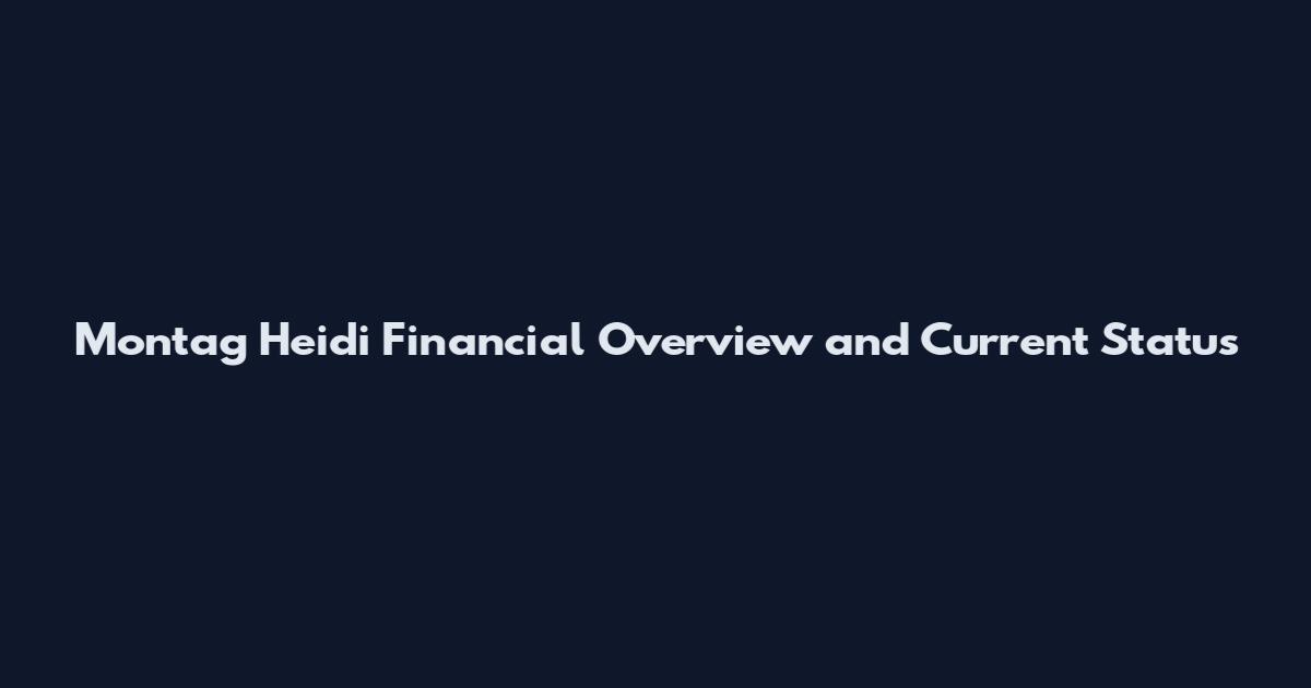 Montag Heidi Financial Overview and Current Status