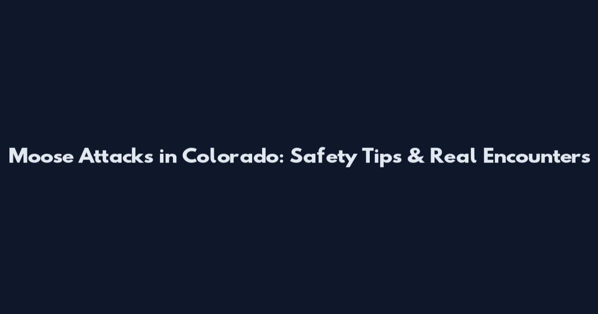 Moose Attacks in Colorado: Safety Tips & Real Encounters