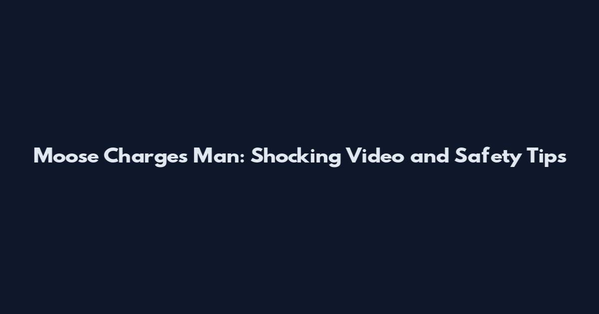 Moose Charges Man: Shocking Video and Safety Tips