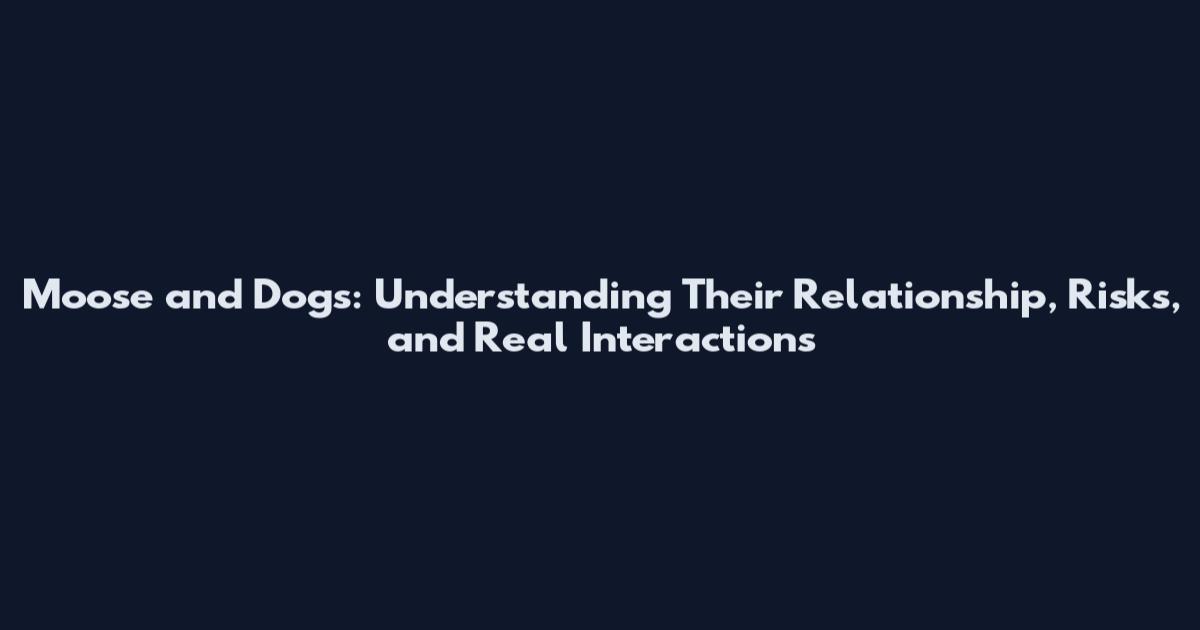 Moose and Dogs: Understanding Their Relationship, Risks, and Real Interactions