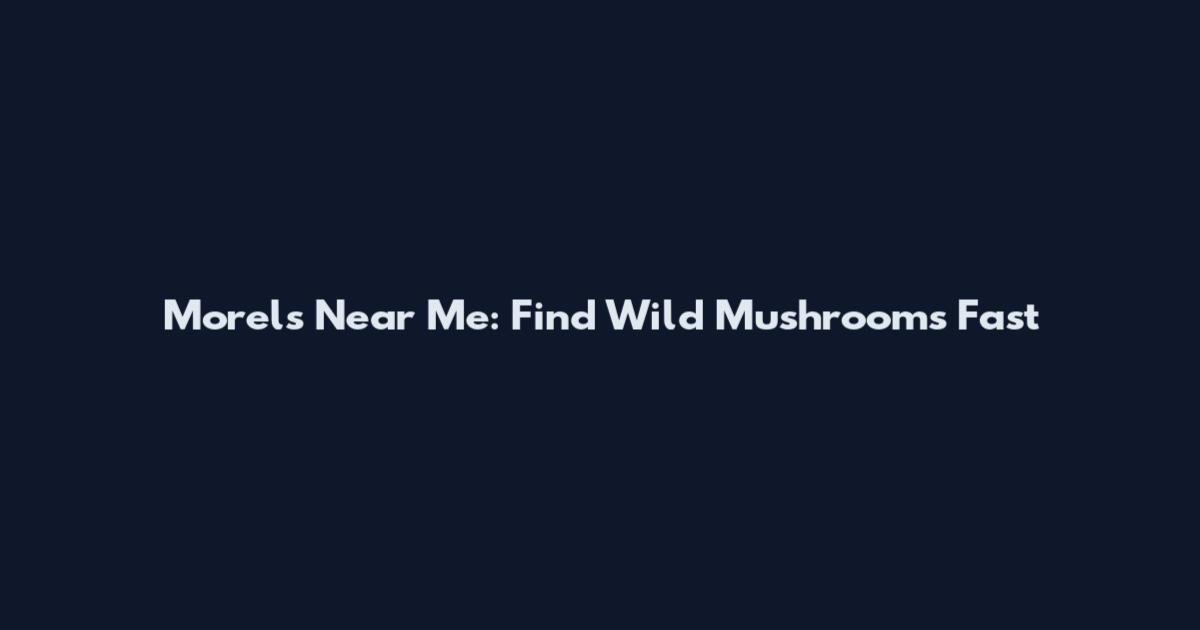 Morels Near Me: Find Wild Mushrooms Fast