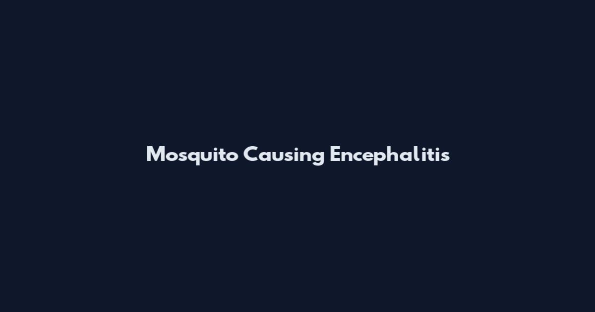 Mosquito Causing Encephalitis