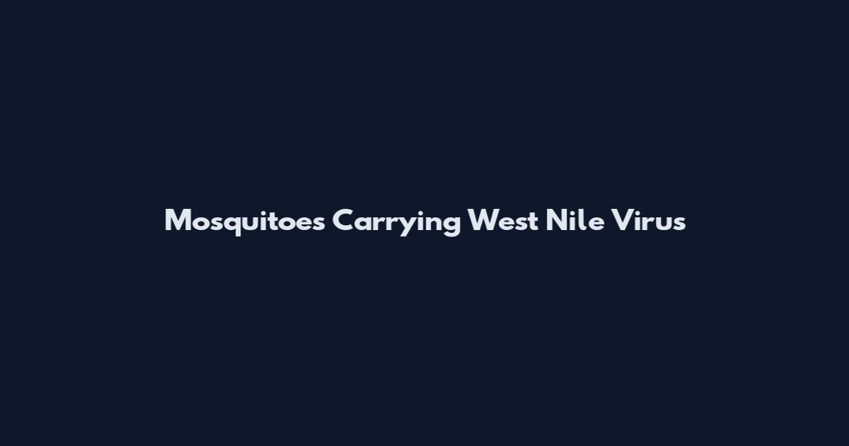 Mosquitoes Carrying West Nile Virus