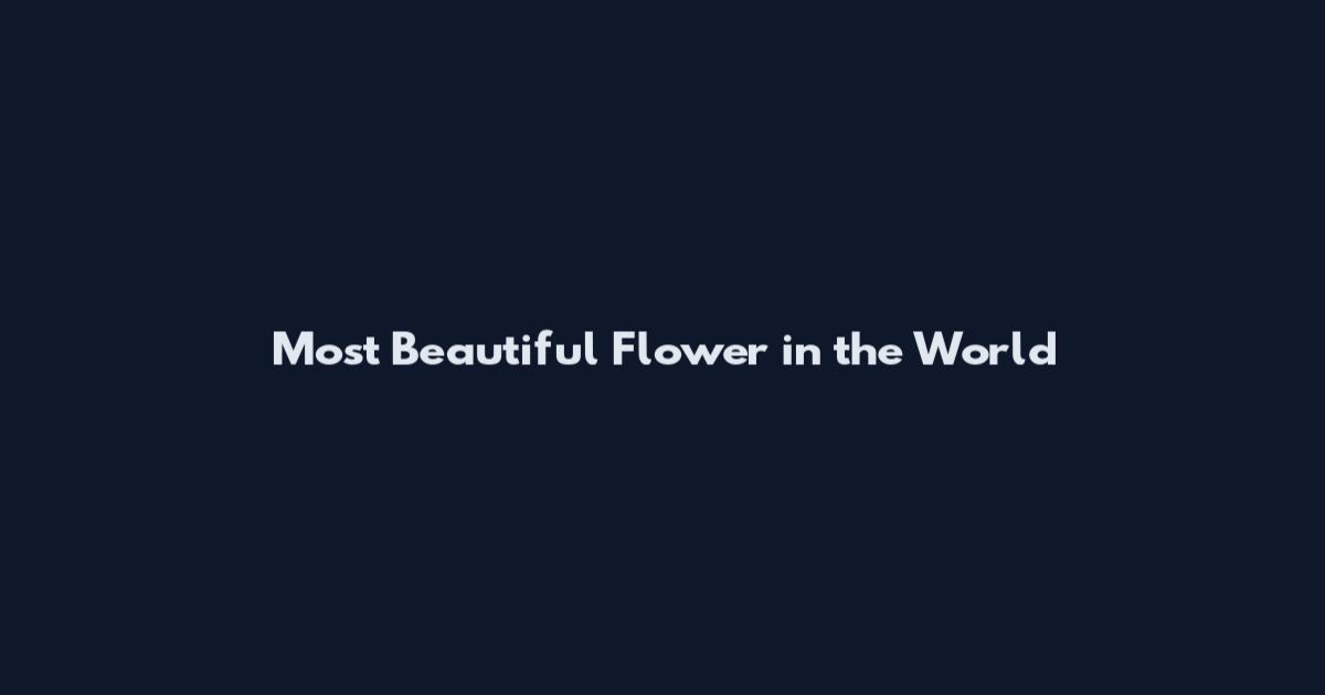 Most Beautiful Flower in the World