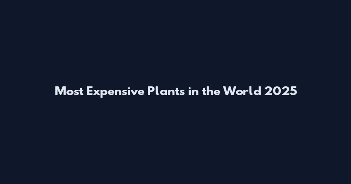 Most Expensive Plants in the World 2025