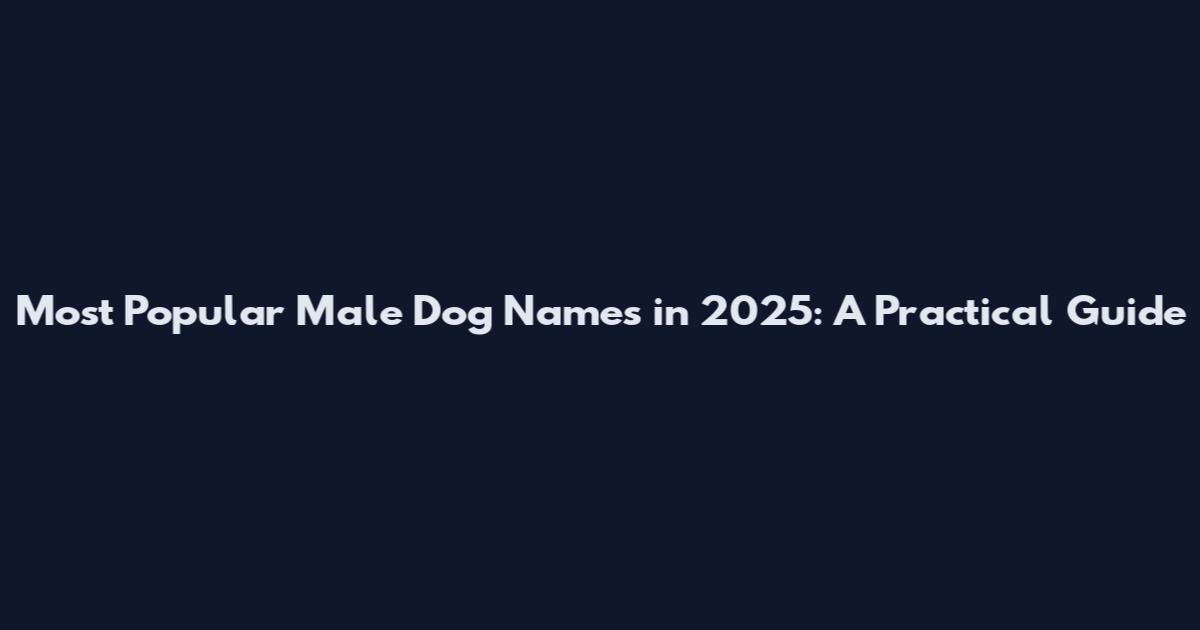 Most Popular Male Dog Names in 2025: A Practical Guide