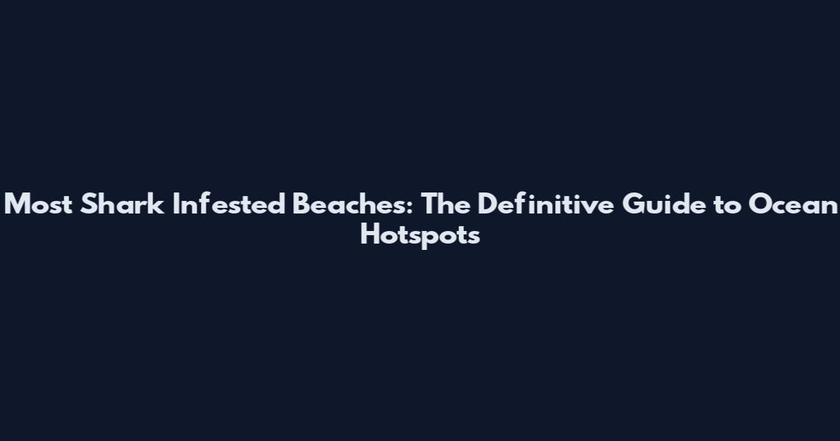 Most Shark Infested Beaches: The Definitive Guide to Ocean Hotspots