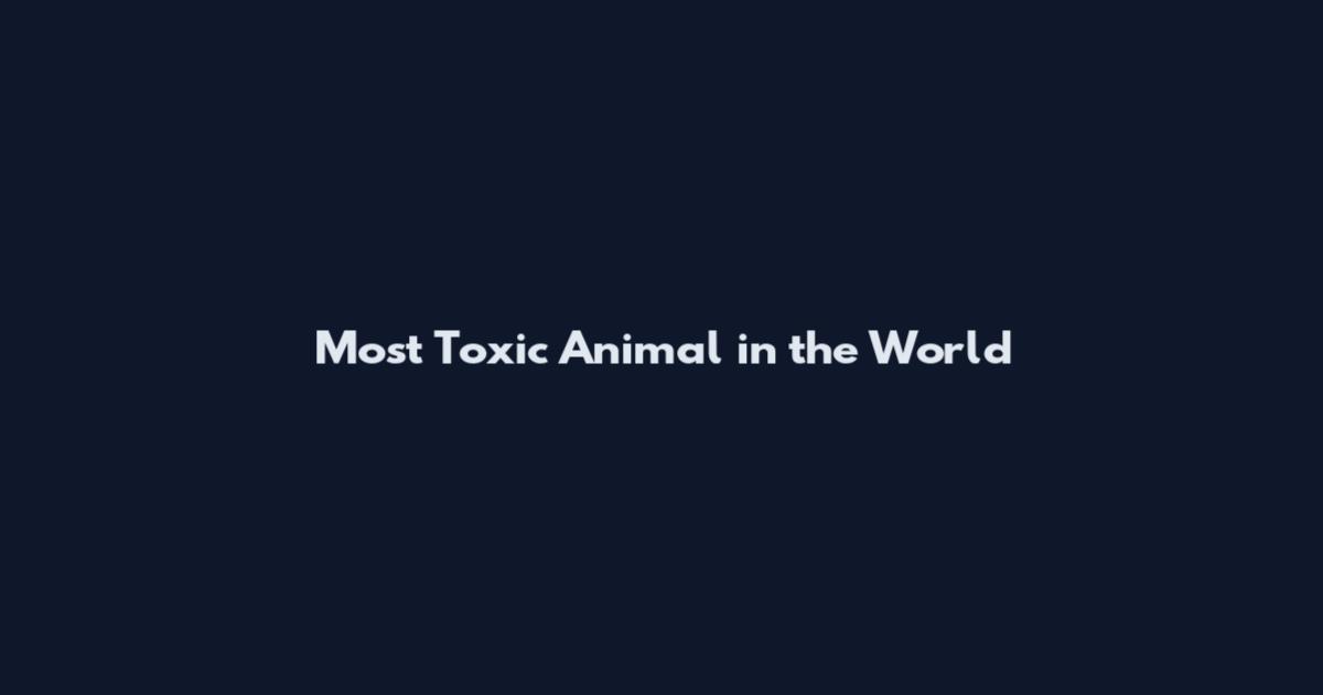 Most Toxic Animal in the World