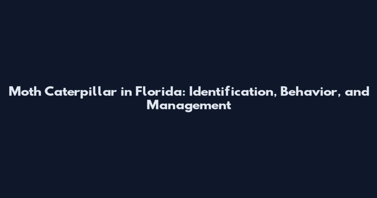 Moth Caterpillar in Florida: Identification, Behavior, and Management