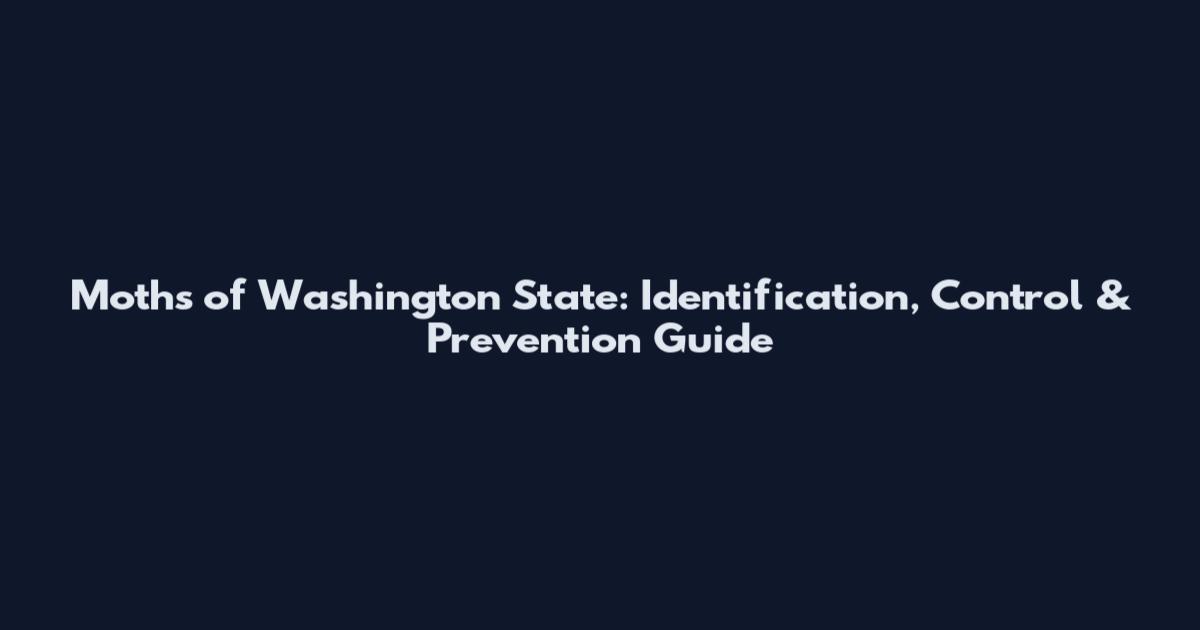Moths of Washington State: Identification, Control & Prevention Guide