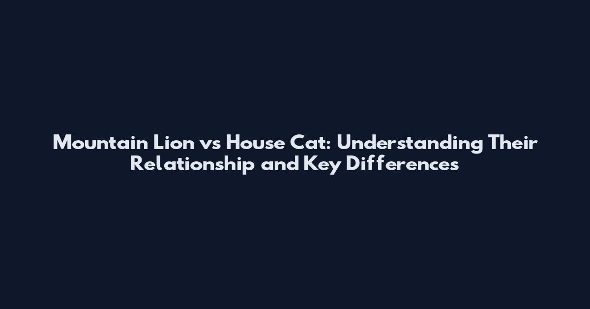 Mountain Lion vs House Cat: Understanding Their Relationship and Key Differences