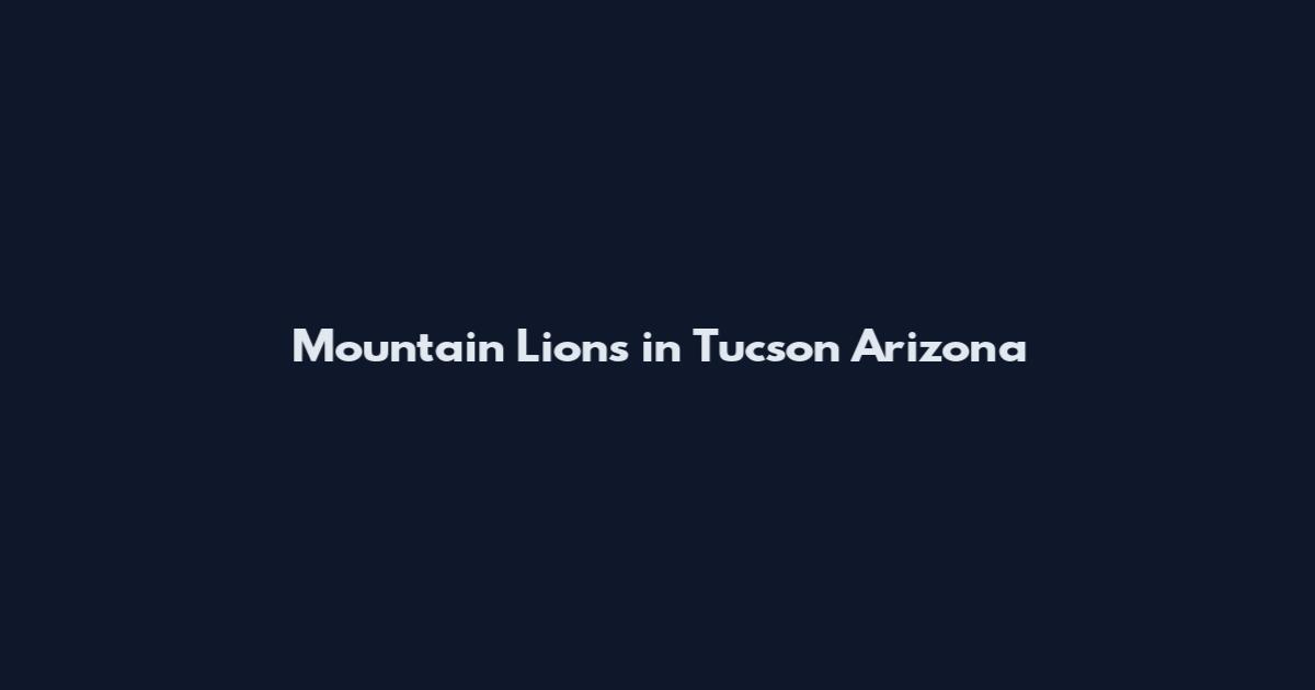 Mountain Lions in Tucson Arizona