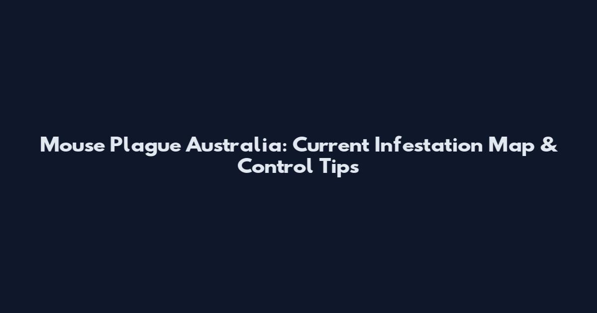 Mouse Plague Australia: Current Infestation Map & Control Tips