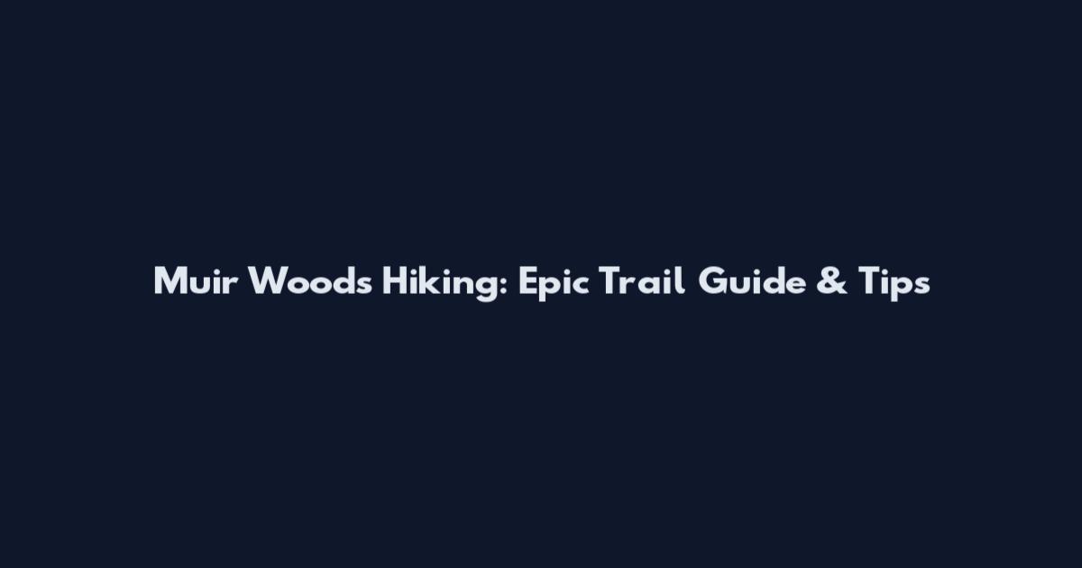 Muir Woods Hiking: Epic Trail Guide & Tips