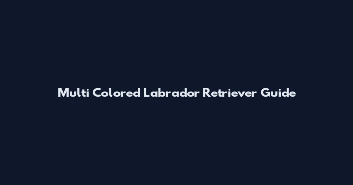 Multi Colored Labrador Retriever Guide