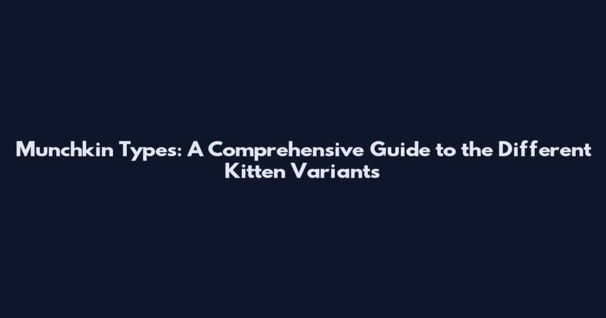 Munchkin Types: A Comprehensive Guide to the Different Kitten Variants