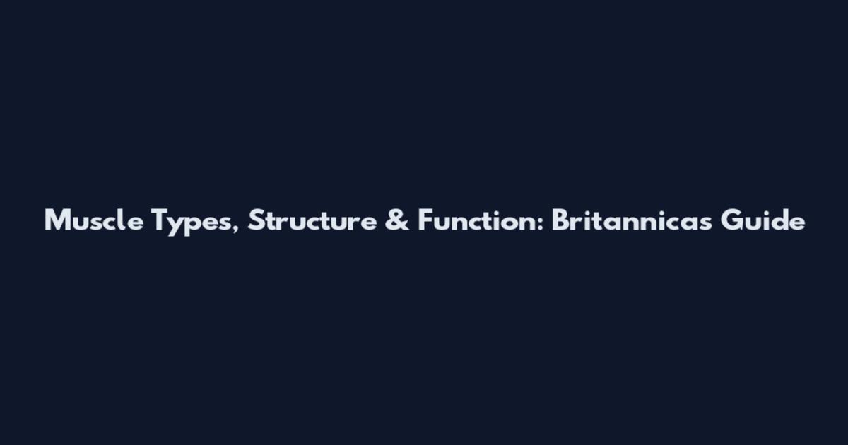 Muscle Types, Structure & Function: Britannica's Guide