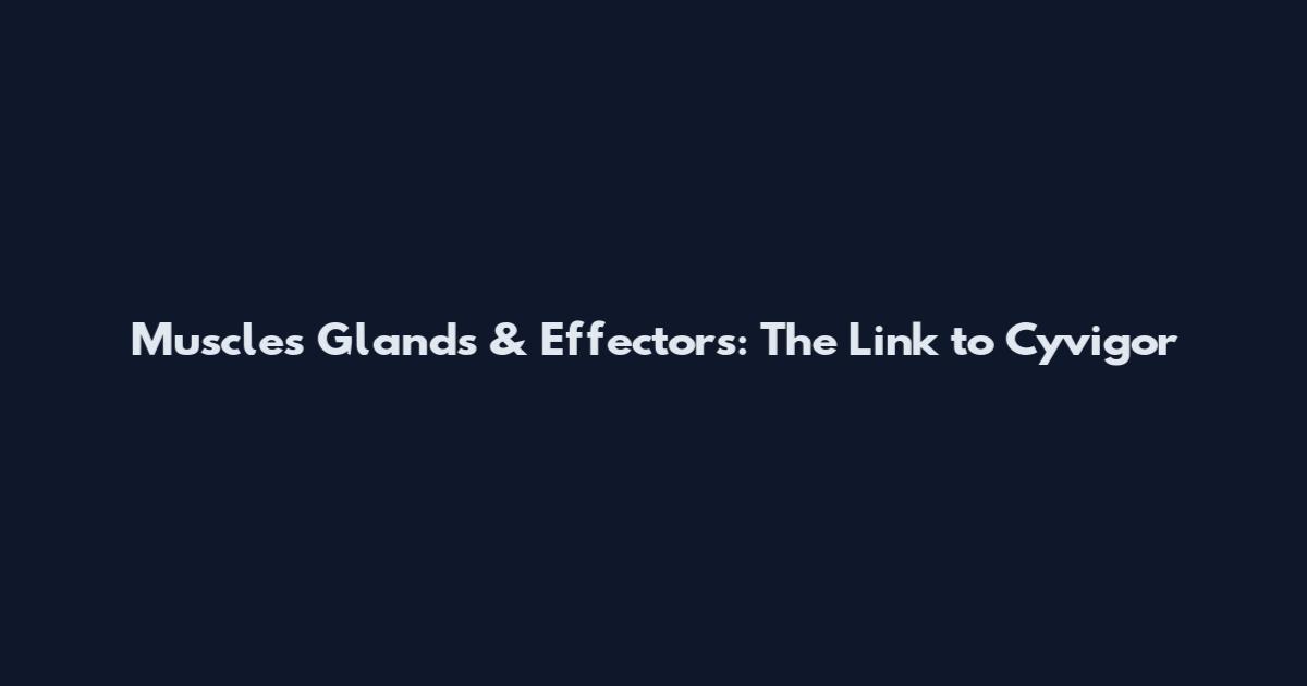 Muscles Glands & Effectors: The Link to Cyvigor