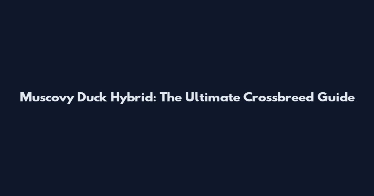 Muscovy Duck Hybrid: The Ultimate Crossbreed Guide