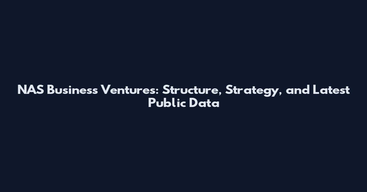 NAS Business Ventures: Structure, Strategy, and Latest Public Data