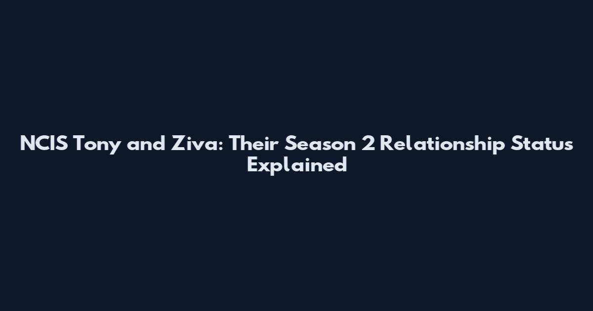 NCIS Tony and Ziva: Their Season 2 Relationship Status Explained