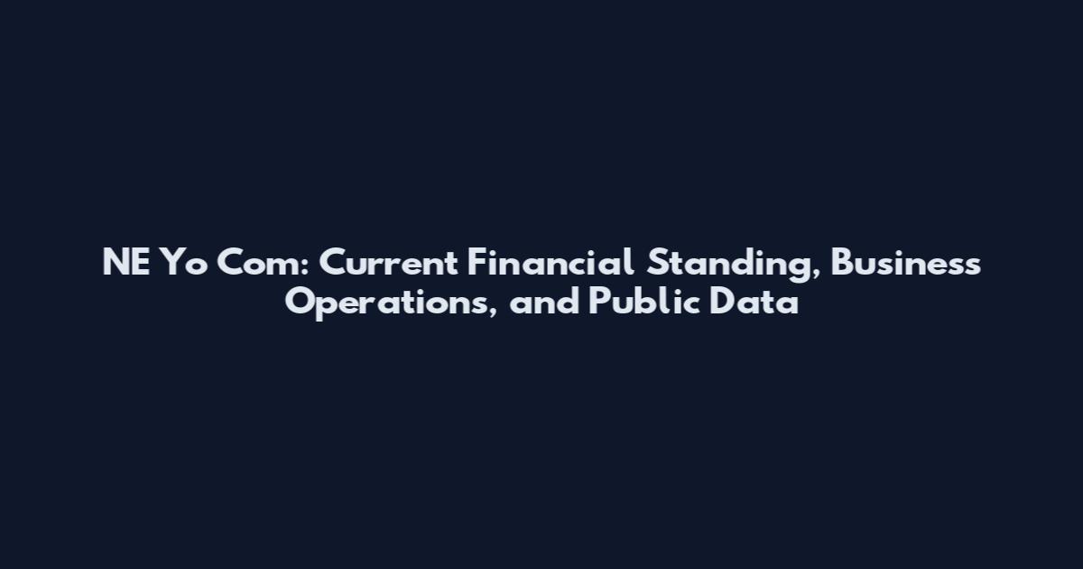 NE Yo Com: Current Financial Standing, Business Operations, and Public Data