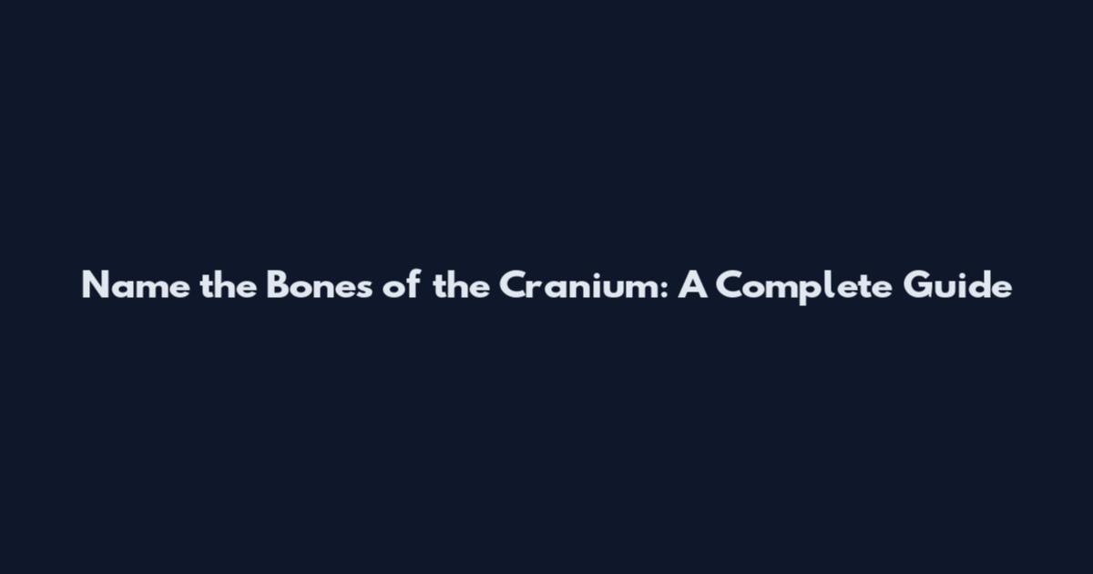 Name the Bones of the Cranium: A Complete Guide