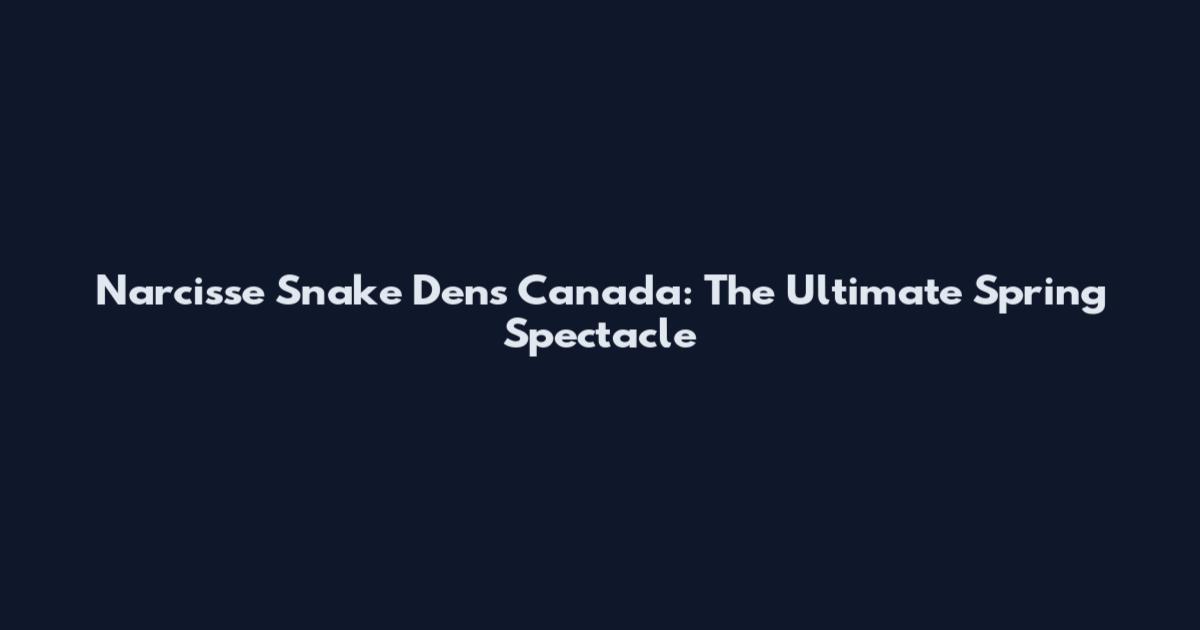 Narcisse Snake Dens Canada: The Ultimate Spring Spectacle